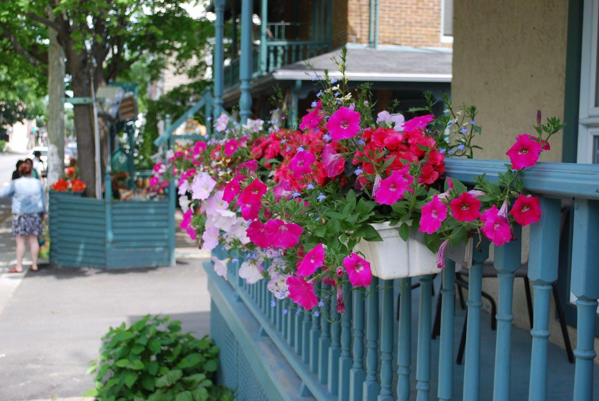 Auberge De L'Eveche Rimouski Exterior foto